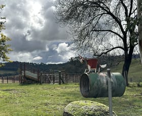 Rural / Farming commercial property for sale at 234 Taradale Road Tumbarumba NSW 2653