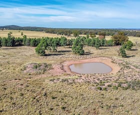 Rural / Farming commercial property for sale at 1458 O'Learys Lane Tomingley NSW 2869