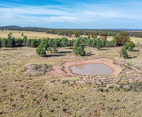 Rural / Farming commercial property sold at 1458 O'Learys Lane Tomingley NSW 2869