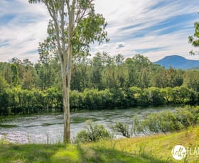 Rural / Farming commercial property for sale at 386 Toms Gully Road Hickeys Creek NSW 2440