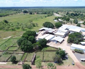 Rural / Farming commercial property for sale at Katherine NT 0850