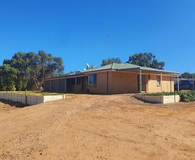 Rural / Farming commercial property for sale at 26864 Midlands Road Irwin WA 6525