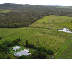 Rural / Farming commercial property for sale at 533 Wolfram Road Dimbulah QLD 4872