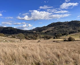 Rural / Farming commercial property for sale at Lot 4 Tarrants Gap Road Wyangala NSW 2808