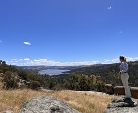 Rural / Farming commercial property for sale at Lot 4 Tarrants Gap Road Wyangala NSW 2808