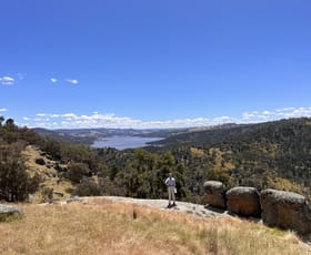 Rural / Farming commercial property for sale at Lot 4 Tarrants Gap Road Wyangala NSW 2808