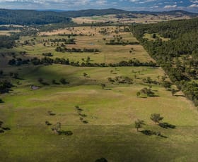 Rural / Farming commercial property sold at 'Woodville' Delegate River VIC 3888