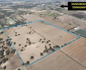 Rural / Farming commercial property for sale at 163 O'Kanes Road Numurkah VIC 3636