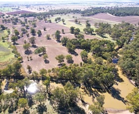 Rural / Farming commercial property for sale at " The River Block" 1 Kiacatoo Road Condobolin NSW 2877