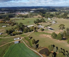 Rural / Farming commercial property for sale at Pecks Road Flowerdale TAS 7325