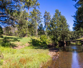 Rural / Farming commercial property for sale at 2319 Moss Vale Road Kangaroo Valley NSW 2577