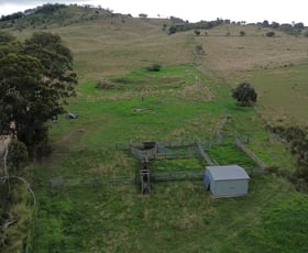 Rural / Farming commercial property sold at Lot 295 Schick Road Thornville QLD 4352