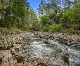 Rural / Farming commercial property sold at 94 Davis Road Tyalgum Creek NSW 2484