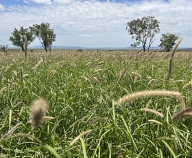 Rural / Farming commercial property for sale at 663 Tango Road Alpha QLD 4724