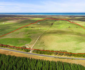 Rural / Farming commercial property for sale at 5975 Portland-Nelson Road Nelson VIC 3292
