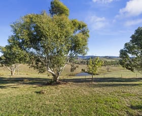 Rural / Farming commercial property for sale at 968 Monkey Gully Road Goughs Bay VIC 3723