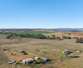 Rural / Farming commercial property for sale at 3763 Banjo Paterson Way Yeoval NSW 2868