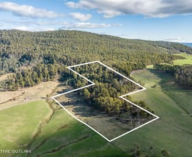 Rural / Farming commercial property for sale at Lot 1, 118 Arnolds Road Lower Turners Marsh TAS 7267