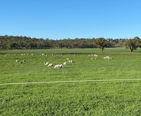 Rural / Farming commercial property for sale at 'Carinya Park' 1158 Warrumbungles Way Coolah NSW 2843