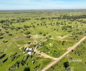 Rural / Farming commercial property for sale at 302 Gerhardts Lane Roma QLD 4455