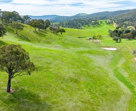 Rural / Farming commercial property sold at - Mount Alfred Road Mount Alfred VIC 3709