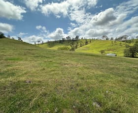 Rural / Farming commercial property for sale at 5555 Parks Creek Road East Gresford NSW 2311