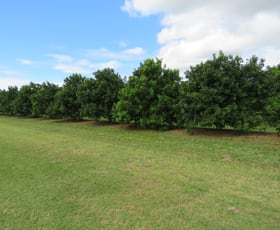 Rural / Farming commercial property sold at 268 Lovers Walk Woongarra QLD 4670