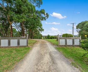 Rural / Farming commercial property for sale at 259 Tambo Upper Road Swan Reach VIC 3903
