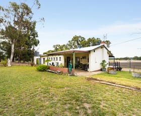 Rural / Farming commercial property for sale at 1242 Old Comaum Road Coonawarra SA 5263