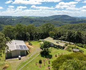 Rural / Farming commercial property sold at 149 Johnsens Road Dorrigo NSW 2453