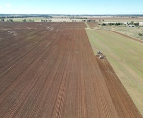 Rural / Farming commercial property sold at 'Durringle' 104 Pfeiffers Lane West Wyalong NSW 2671