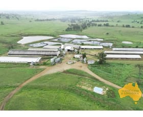 Rural / Farming commercial property for sale at 474 Wigton Rd Gayndah QLD 4625