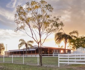 Rural / Farming commercial property for sale at 123 Warooby Lane Roma QLD 4455