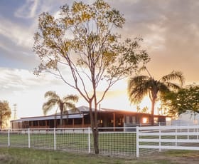 Rural / Farming commercial property sold at 123 Warooby Lane Roma QLD 4455