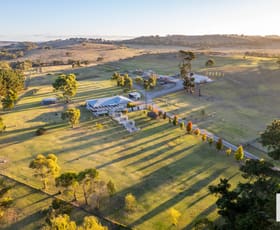 Rural / Farming commercial property for sale at 422 Goolwa Road Mosquito Hill SA 5214