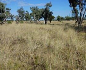 Rural / Farming commercial property for sale at 553 Claverton Park Road Wyandra QLD 4489
