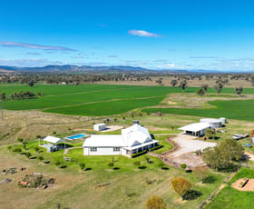 Rural / Farming commercial property for sale at Edeowie/90 Evans Lane Tamworth NSW 2340