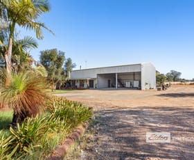 Rural / Farming commercial property for sale at 156 Gavins Road Capel WA 6271