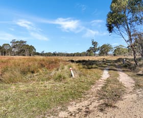 Rural / Farming commercial property for sale at Lot 238 Rosehill Road Bombala NSW 2632