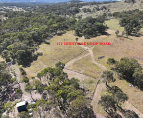 Rural / Farming commercial property for sale at 447 Sunnyside Loop Road Tenterfield NSW 2372