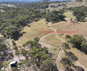 Rural / Farming commercial property for sale at 447 Sunnyside Loop Road Tenterfield NSW 2372