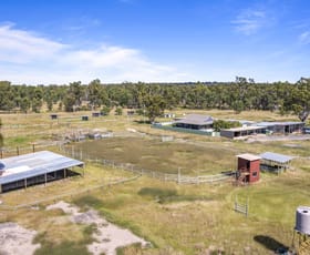Rural / Farming commercial property for sale at 2041 Banana Bridge Road Kogan QLD 4406