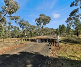 Rural / Farming commercial property for sale at 100-132 High Street Tambar Springs NSW 2381