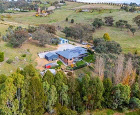 Rural / Farming commercial property for sale at 19 Thomas Kite Lane Orange NSW 2800
