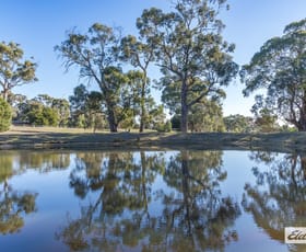 Rural / Farming commercial property for sale at 289 Edgecombe Road Kyneton VIC 3444