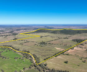 Rural / Farming commercial property for sale at 340 Black Mountain Creek Road Boggabri NSW 2382