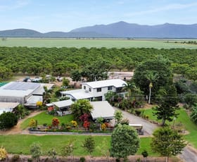 Rural / Farming commercial property for sale at 232-240 Bartlett Road Horseshoe Lagoon QLD 4809