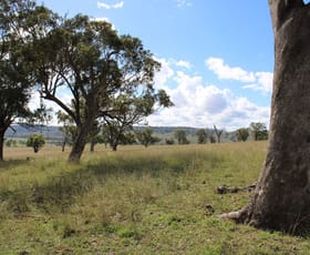 Rural / Farming commercial property sold at 2313 Jerrys Plains Road Jerrys Plains NSW 2330