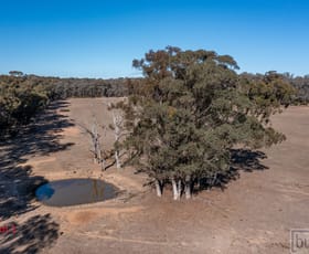 Rural / Farming commercial property sold at 104 Curtins Road Cornishtown VIC 3683