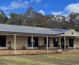 Rural / Farming commercial property for sale at 269 Timor Road Coonabarabran NSW 2357
